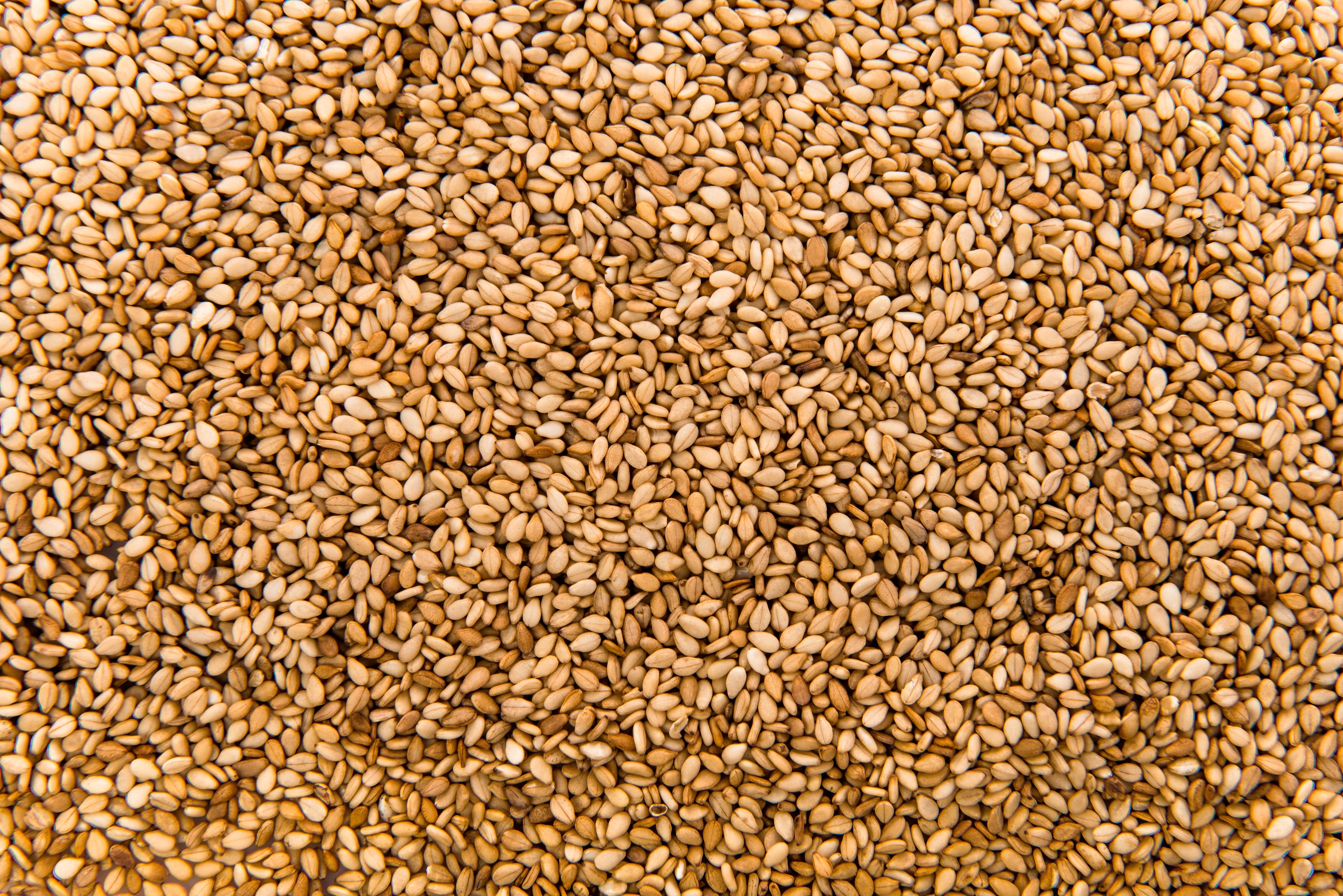 Grain Liquid Fertilizer | Fervita