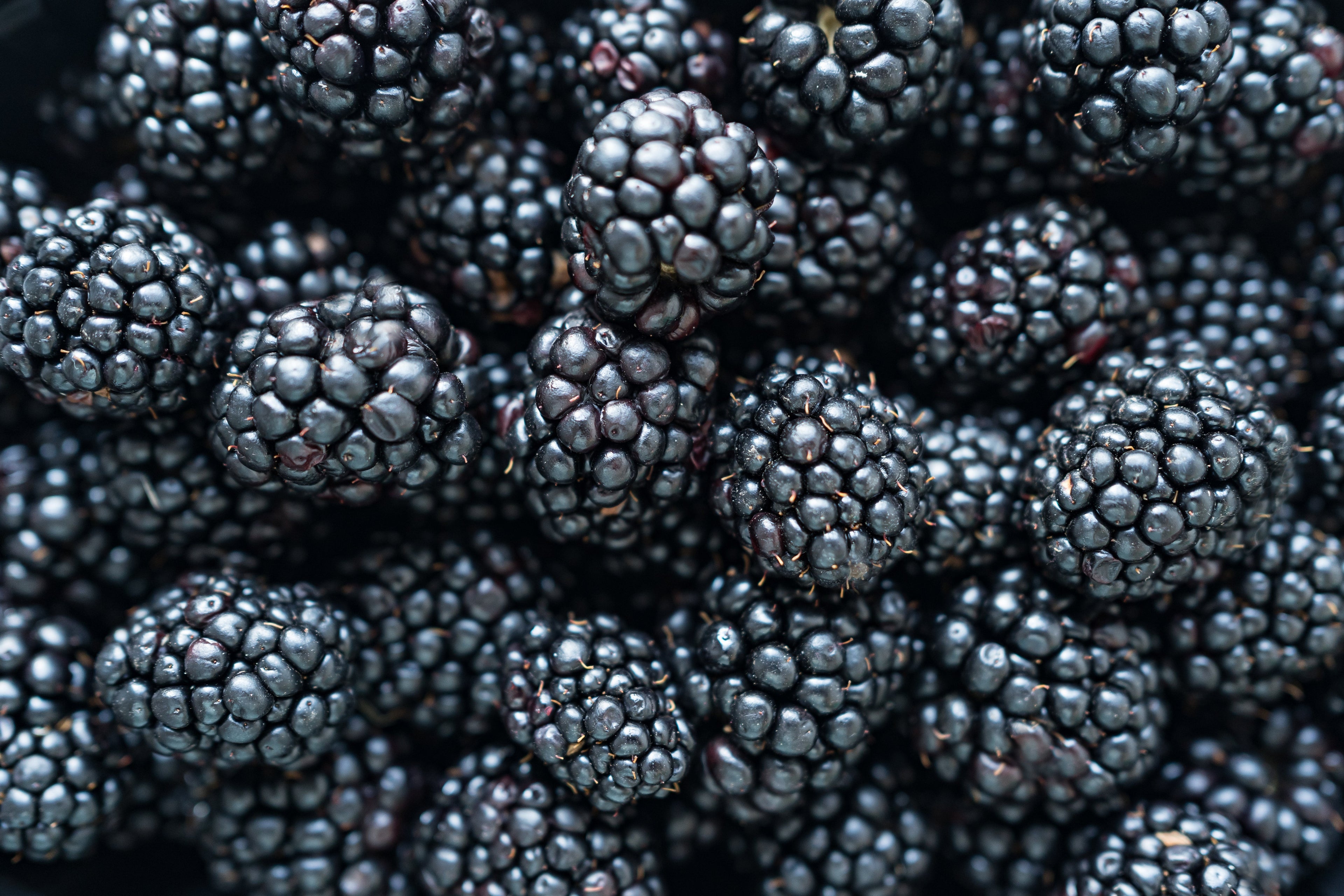 Blackberry Liquid Fertilizer